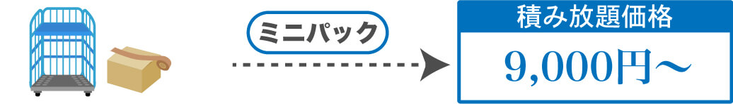 ミニパック9000円